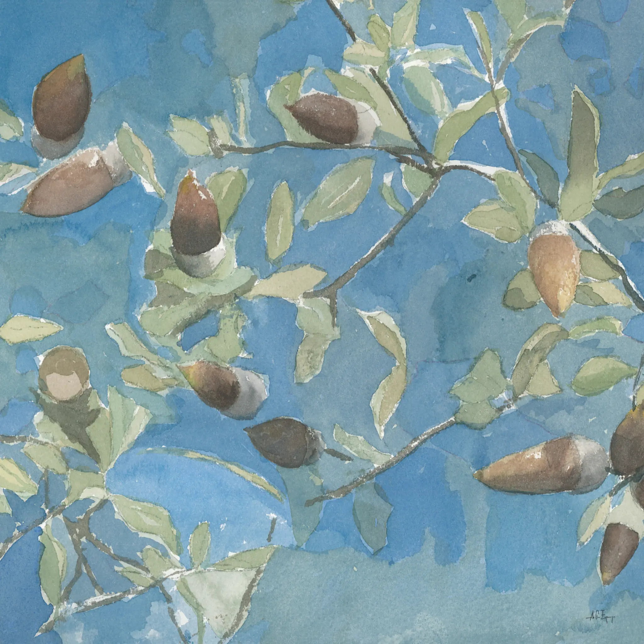 Pañuelo de seda con bellotas y hojas de encina pintadas a la acuarela sobre azul